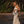 Model walking along little cove beach in white dress holding crossbody bag