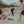 child handing mother wet rash guard to put in wet bag 