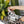 cactus background with black and beige wet dry bag with model