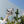 cactus background with model holding black and white palm tree pouch